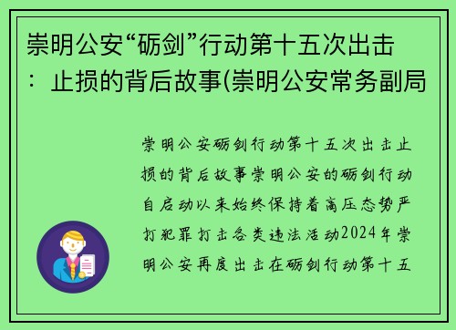 崇明公安“砺剑”行动第十五次出击：止损的背后故事(崇明公安常务副局长)