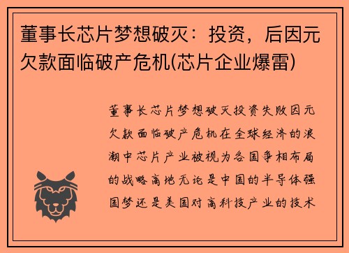 董事长芯片梦想破灭：投资，后因元欠款面临破产危机(芯片企业爆雷)