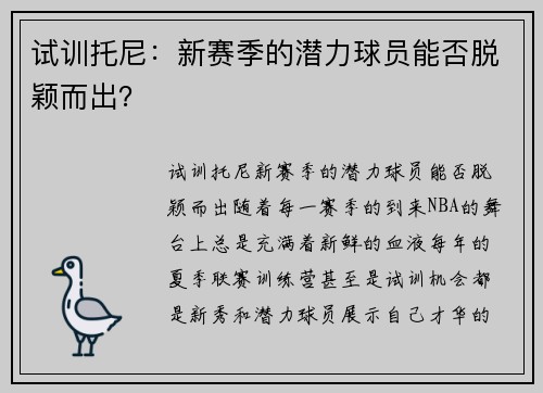 试训托尼：新赛季的潜力球员能否脱颖而出？
